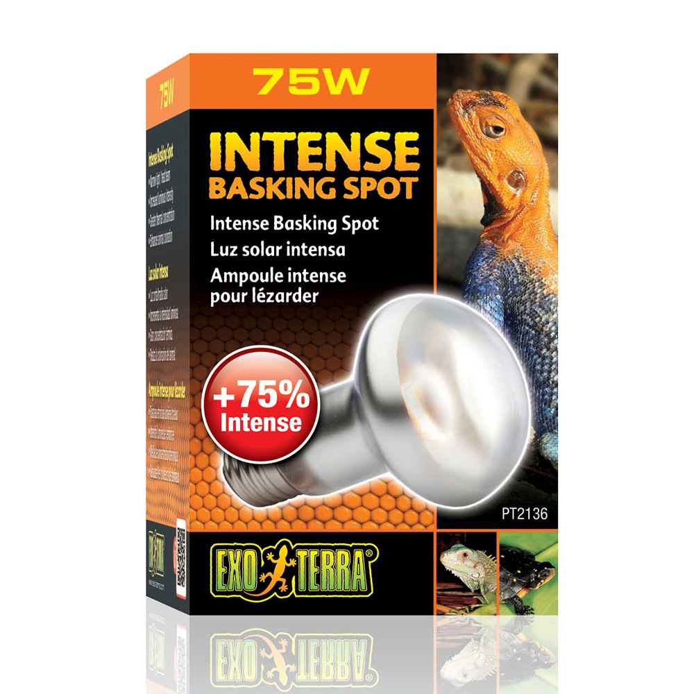 Exo Terra Intense Basking Spot 75W 63mm Żarówka Grzewcza do Terrarium